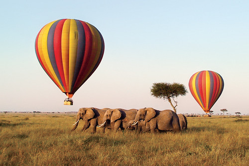 Hot air balloons floating over elephants in the Serengeti