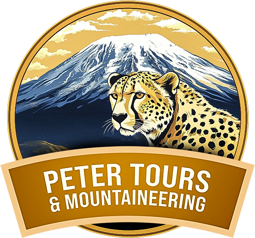 Peter Tours