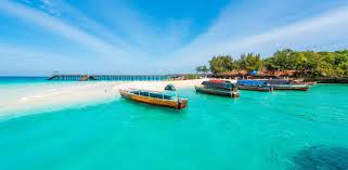 Traditional dhow sailing near Zanzibar